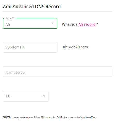 Fields to set or enter type of record, subdomain, nameserver, and TTL
