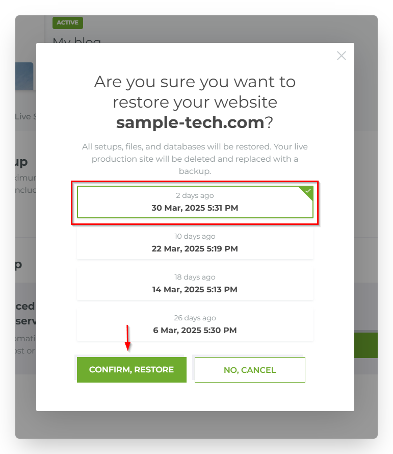 Screenshot of CD WordPress Confirm Restore Button