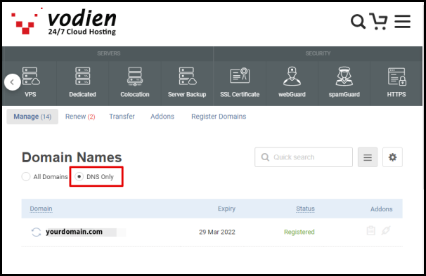 DNS Only Button in Vodien Domains Page