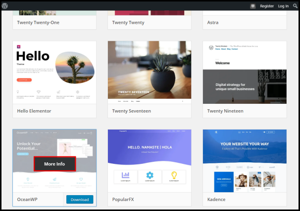 Screenshot of VD WordPress Themes More Info Button